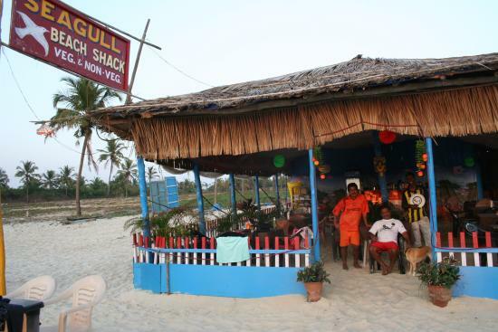 Seagull Beach Shack